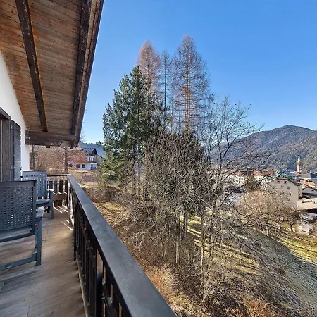 Ginepro Lorenzago di Cadore