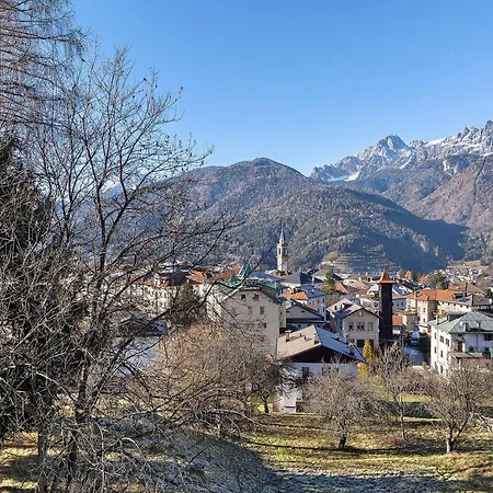 Ginepro * Lorenzago Di Cadore