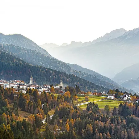 Ginepro Lorenzago Di Cadore