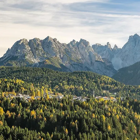 Ginepro Lorenzago Di Cadore