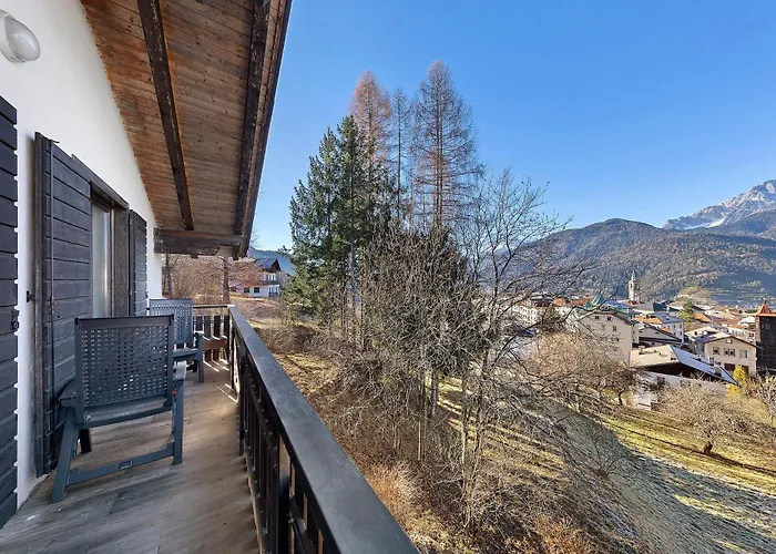 Ginepro Lorenzago Di Cadore