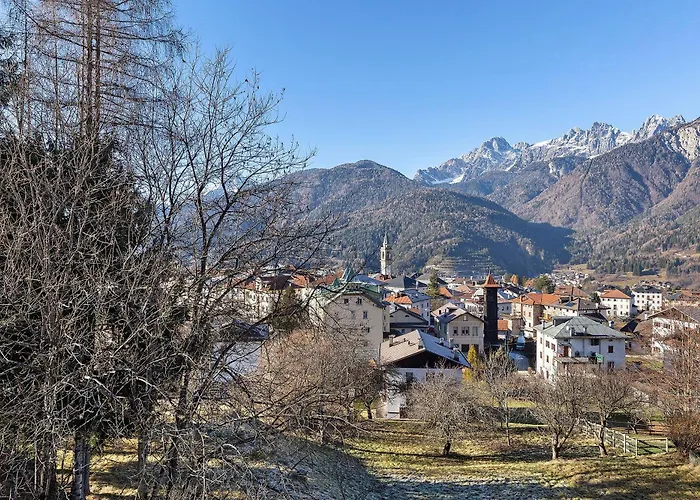 Ginepro * Lorenzago di Cadore