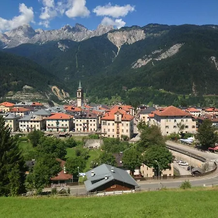 Ginepro Lorenzago Di Cadore