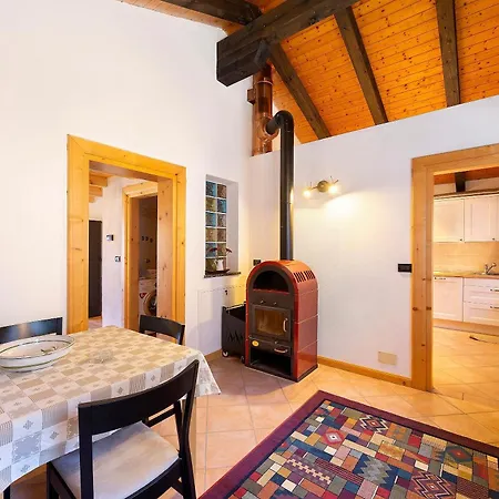 Ginepro Lorenzago Di Cadore